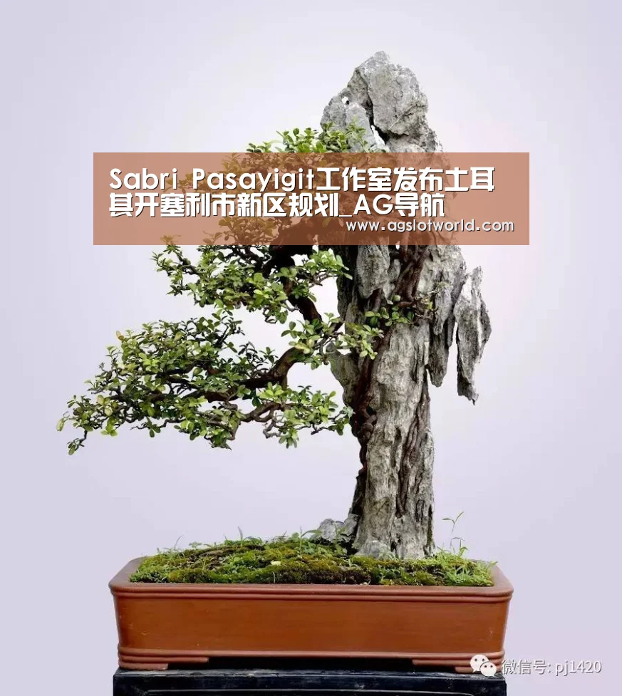 Sabri Pasayigit工作室发布土耳其开塞利市新区规