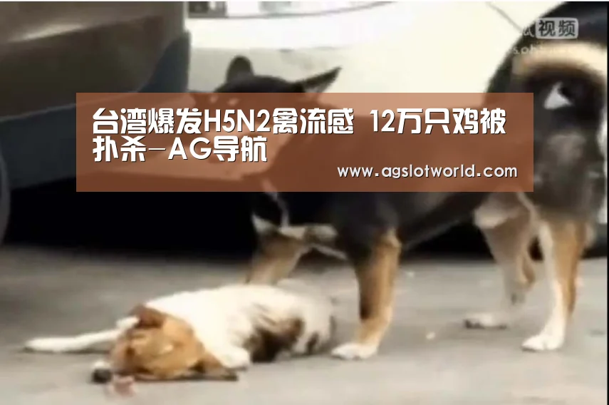 AG娱乐