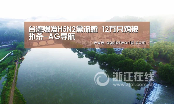 AG专区